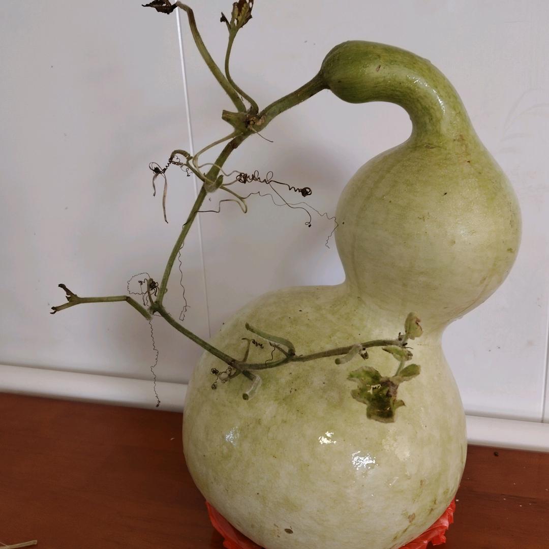 陈恩行