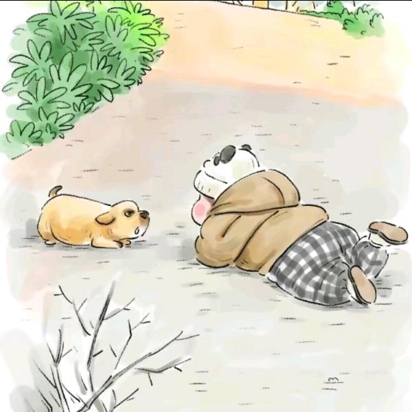 矛盾体