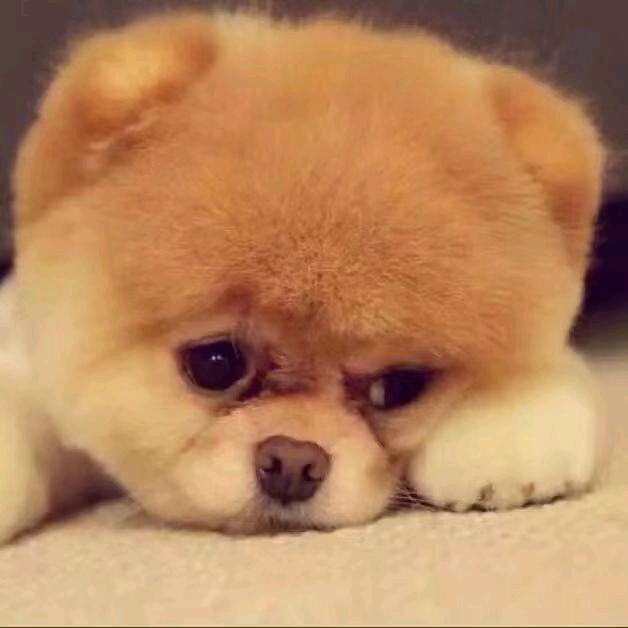 幸福女孩👧🏻