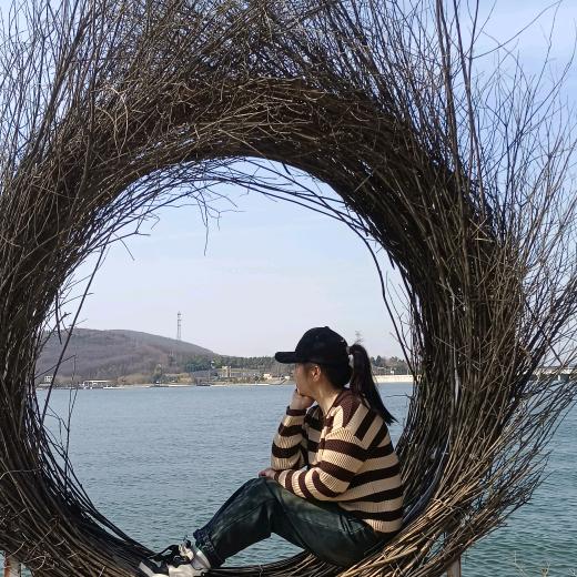 河南新姐