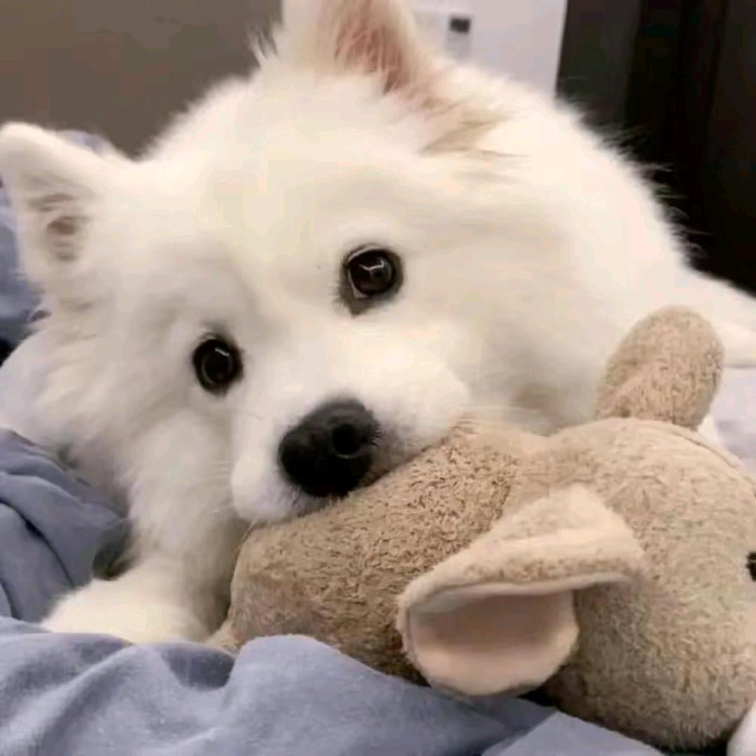 💕ঞ᭄夜微颖🍒ഌ໊࿐