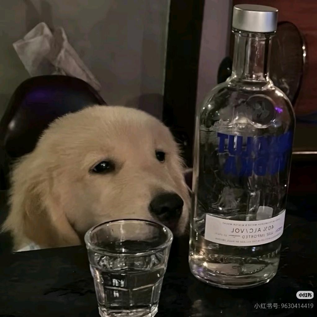 p总在线圈米