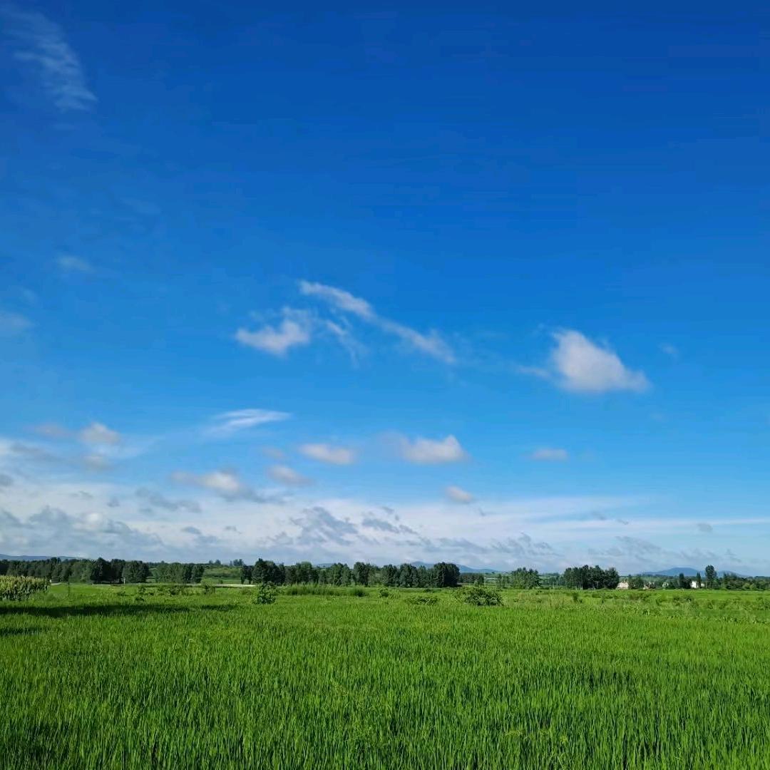 耗王