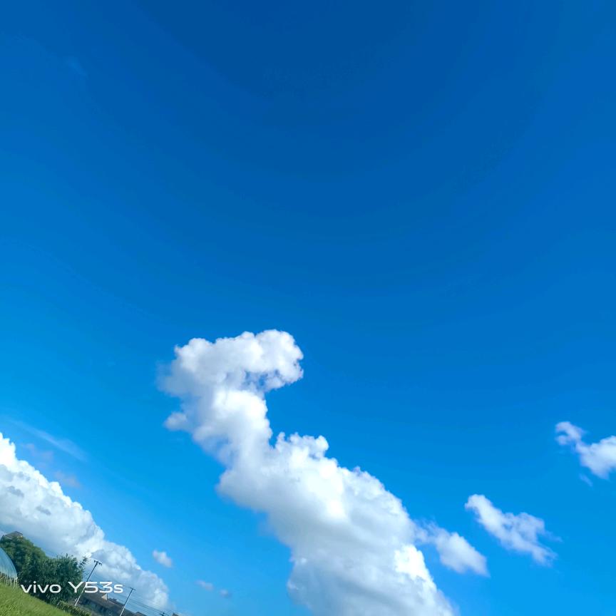 无语