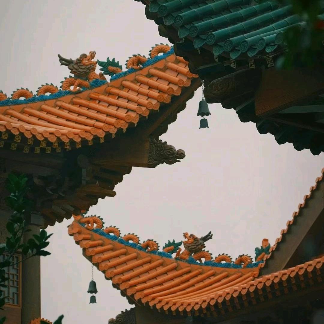 简一🍀