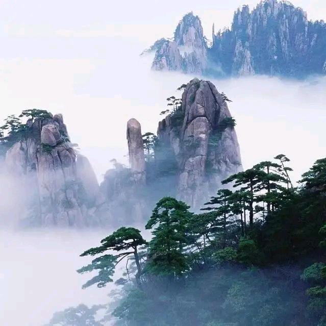 鲁祖丰