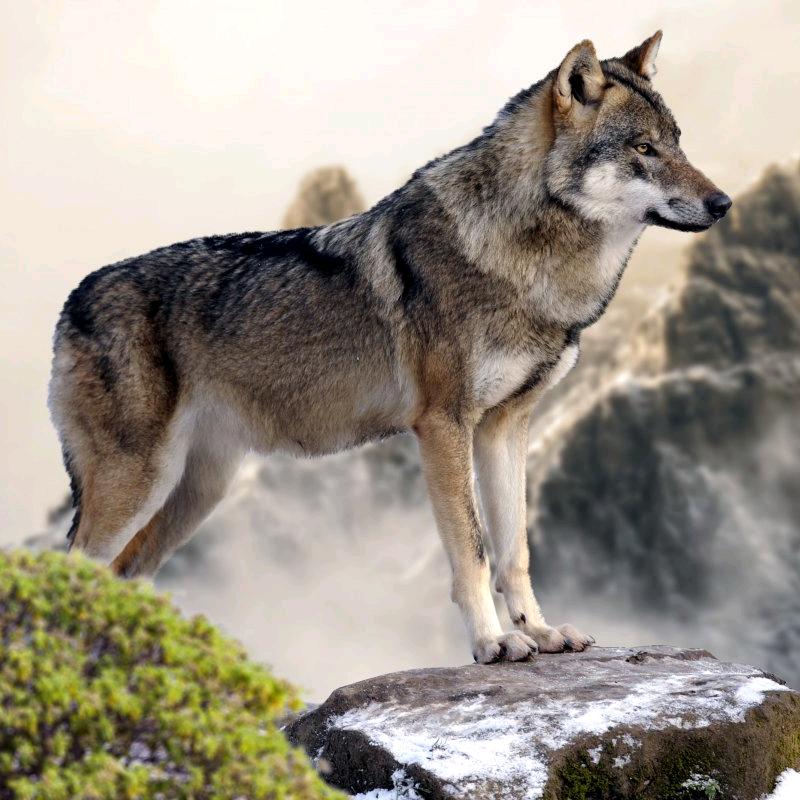 七月的风八月的雨