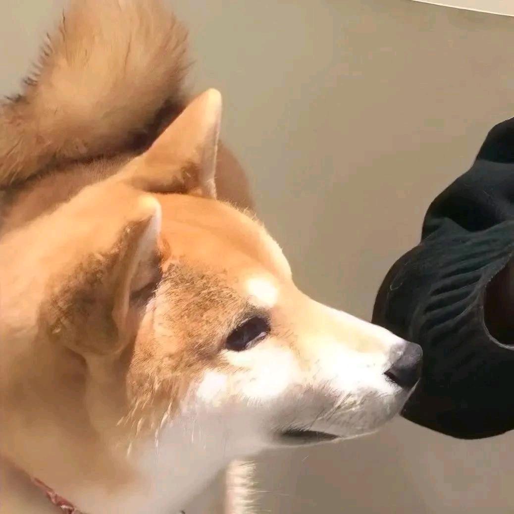 青火