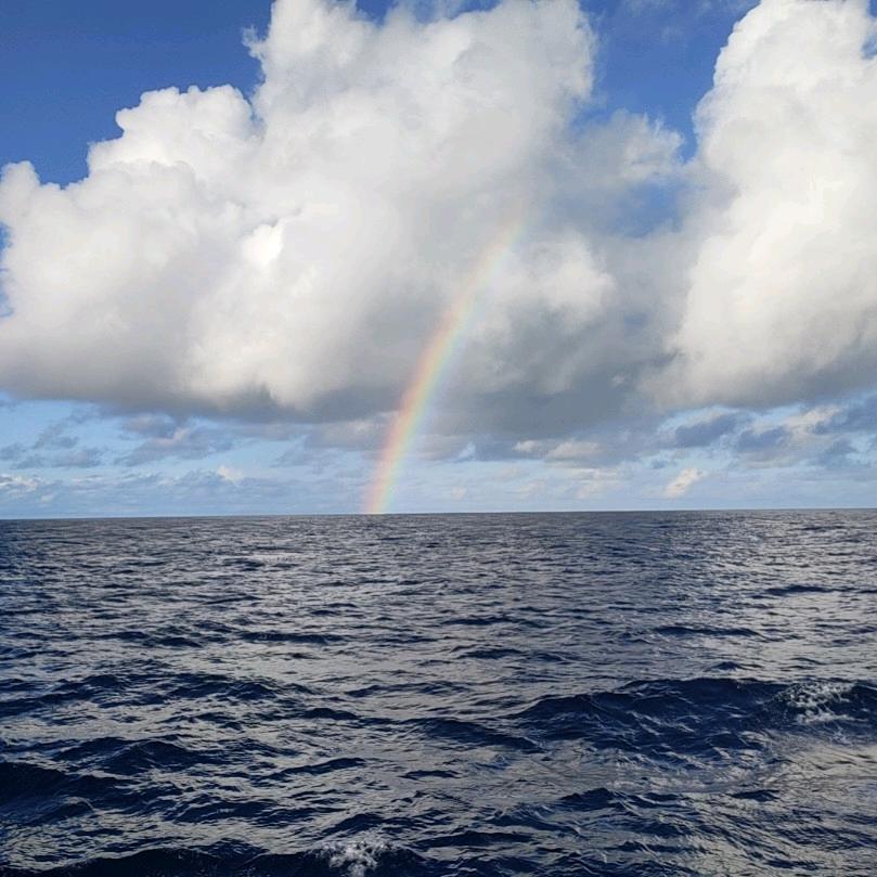 浩在线