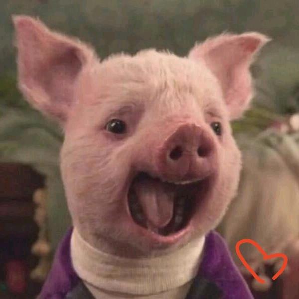 满山猴子🐵我腚最红