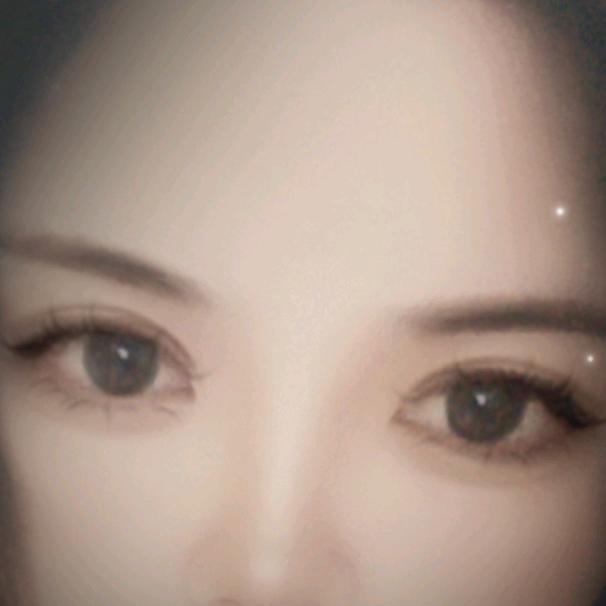小李琴