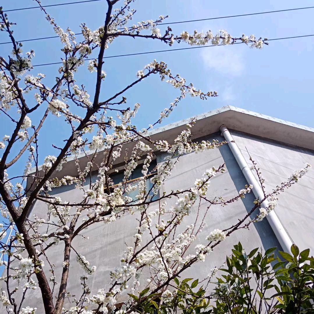 ☘️💞᭄᪲ᩚ꯭蒋来꧔ꦿ℘快骆💕এ