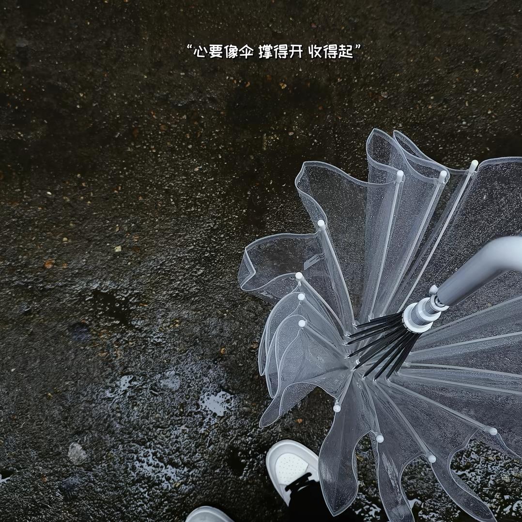 馨馨馨吖🐯