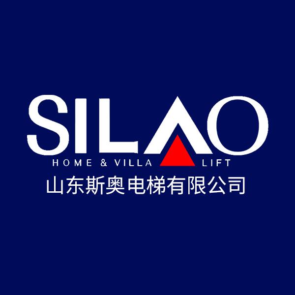 山东斯奥电梯有限公司
