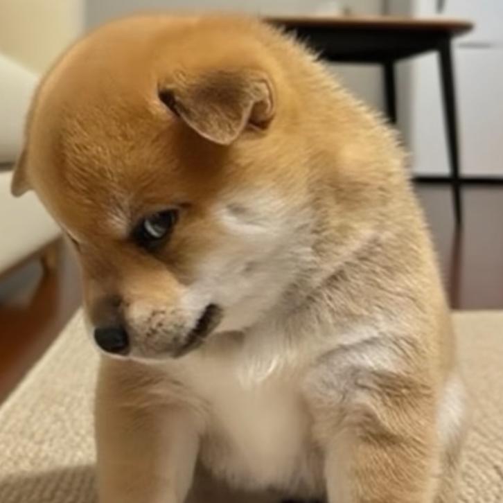 🍀⃛烟消云散ᨶ႒ᩚ²º²⁵