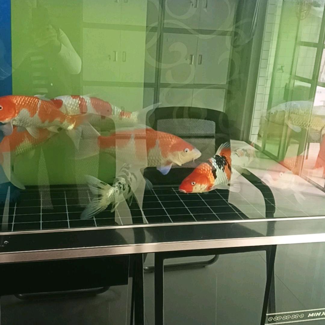 东连