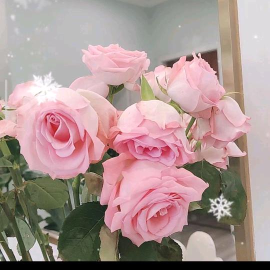 南宁市武鸣区青山百货店（个体工商户）