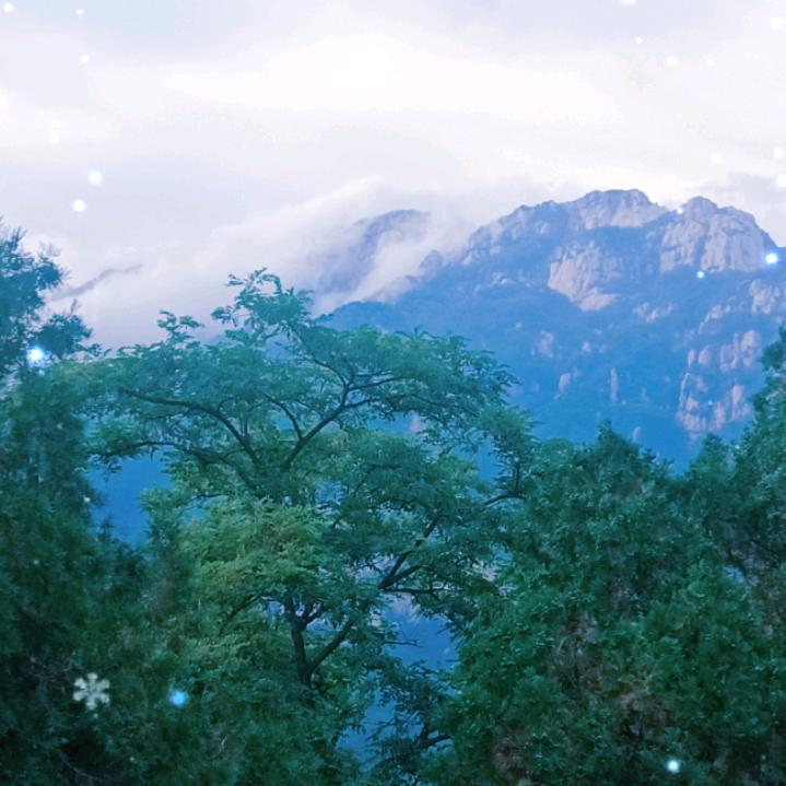 活出自己的高傲_