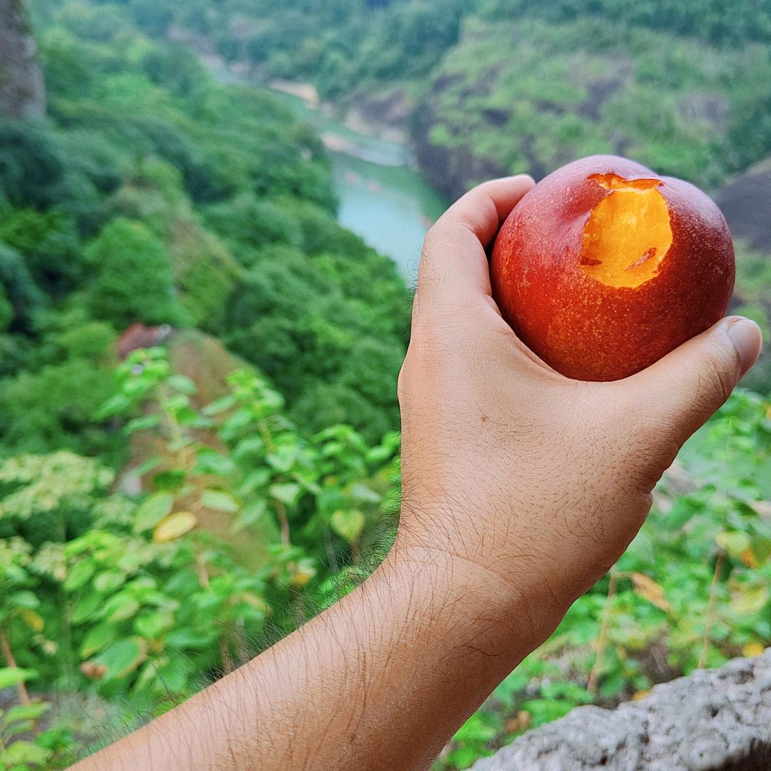 笑里笑外