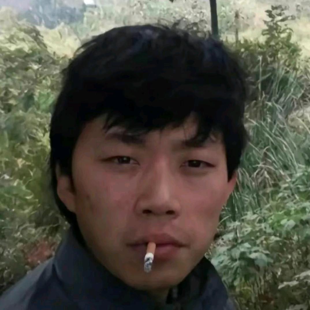 南成