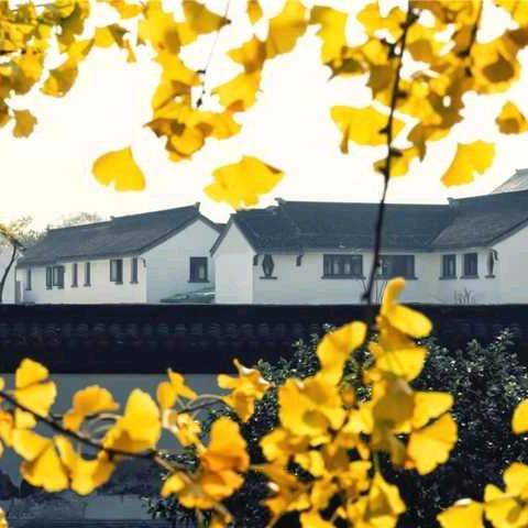 女富豪