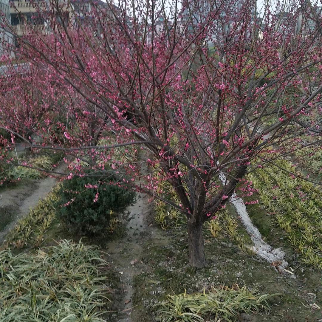 哎呦不错八九八