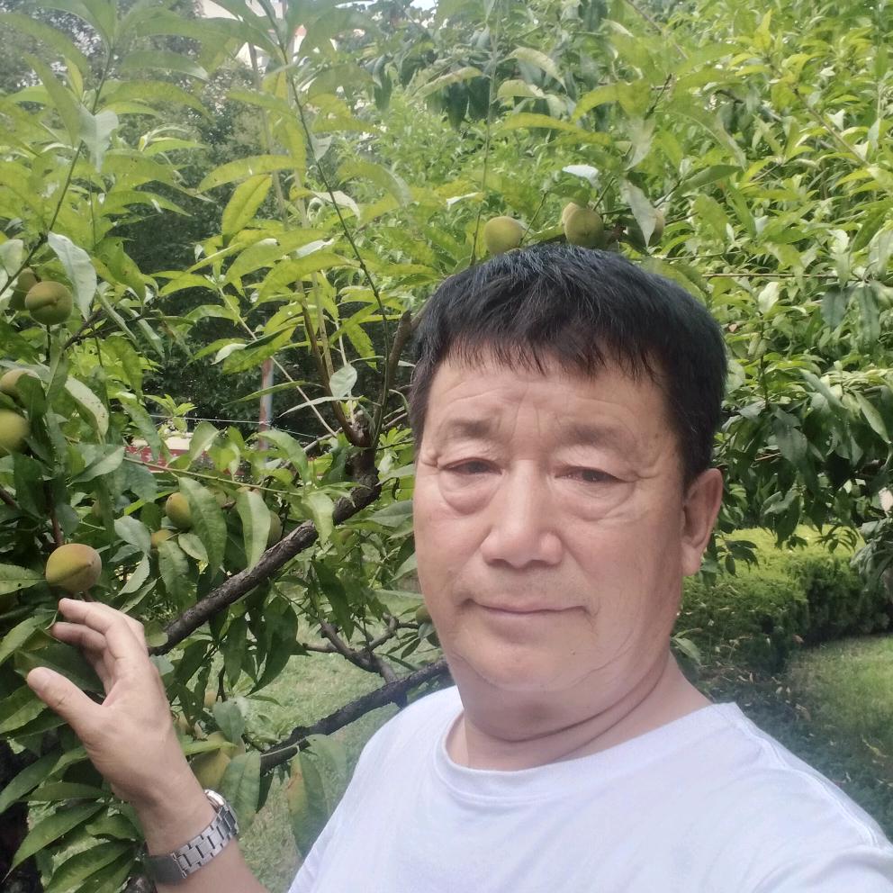 陕西杨哥