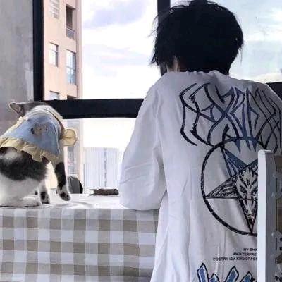 佩奇不爱达芬奇