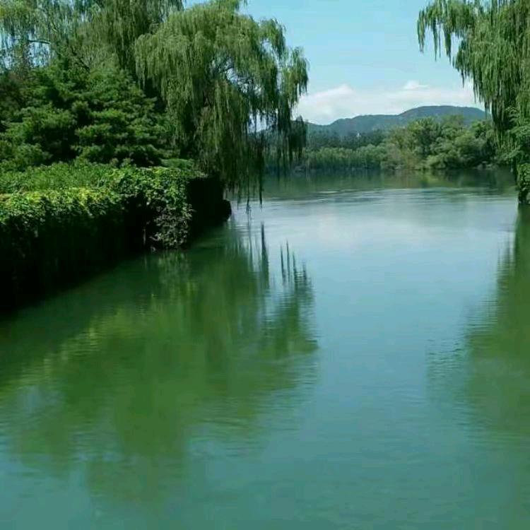 乌云咏远遮不住太阳