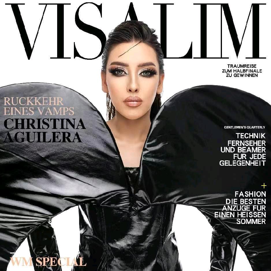 visalim高级 合伙人