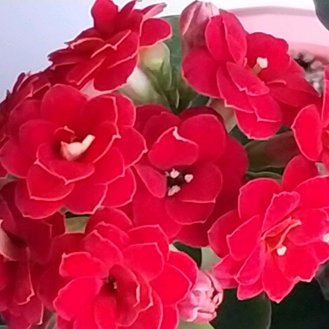 用户9306071179666