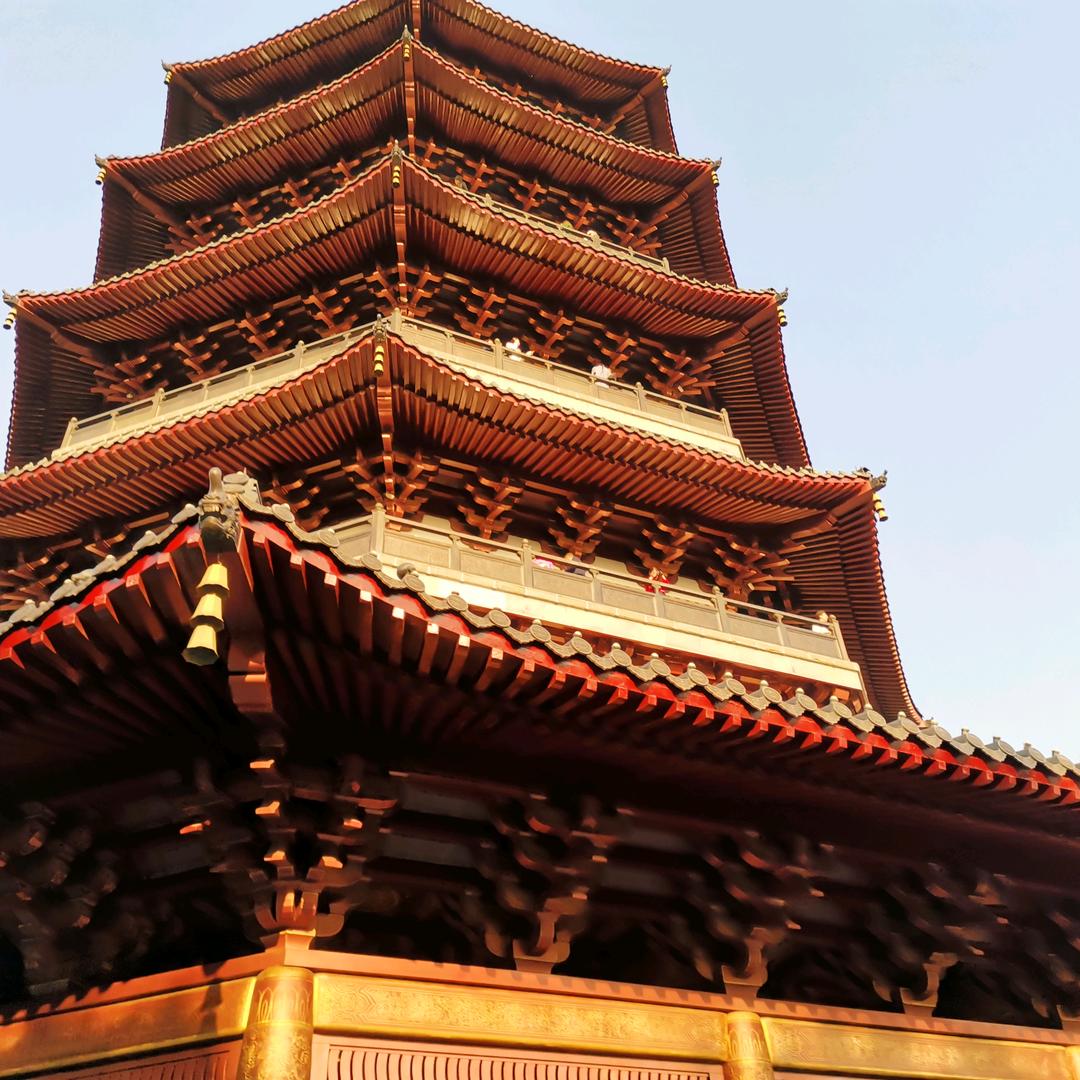 努力賺钱、快乐健康