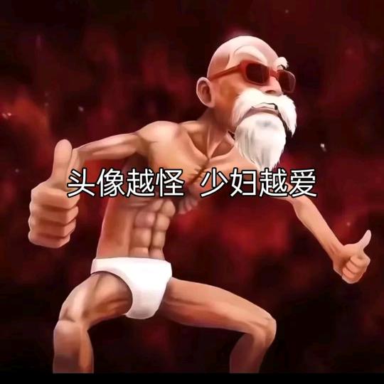 猫咪哥