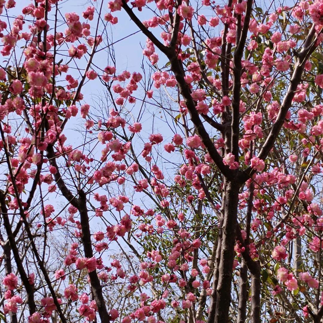 静思