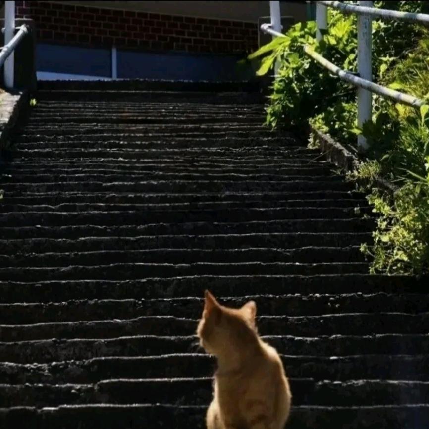 “◡̈ 多喜樂 ◡̈ 🌸: ◡̈