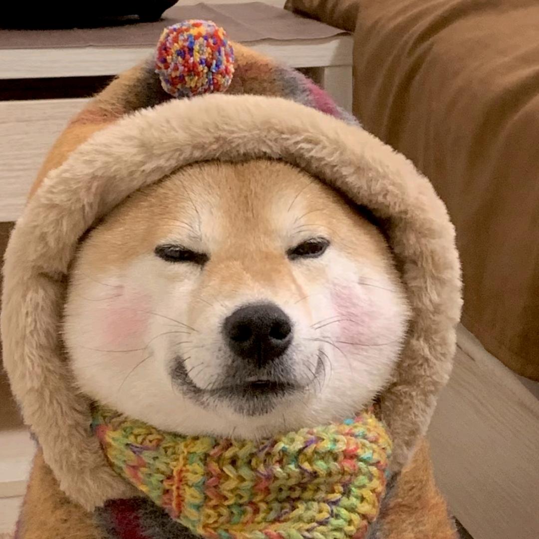 哈喽