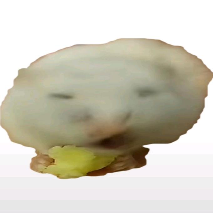 Anrry（桉悦）