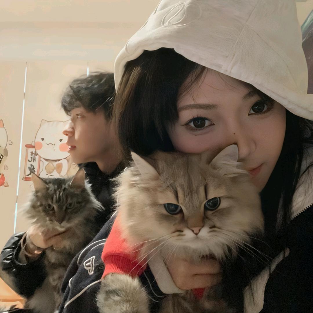 心碎豪