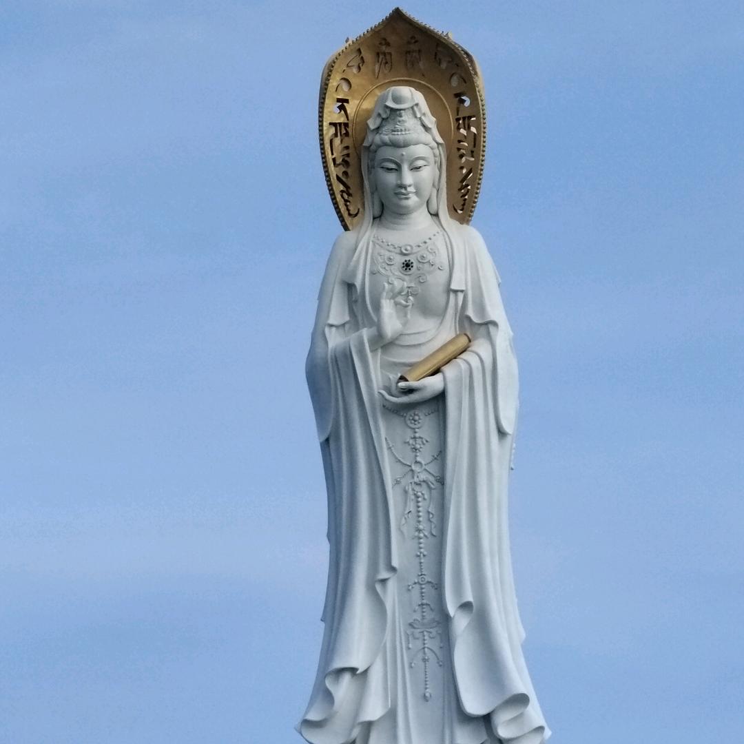 迷糊哥