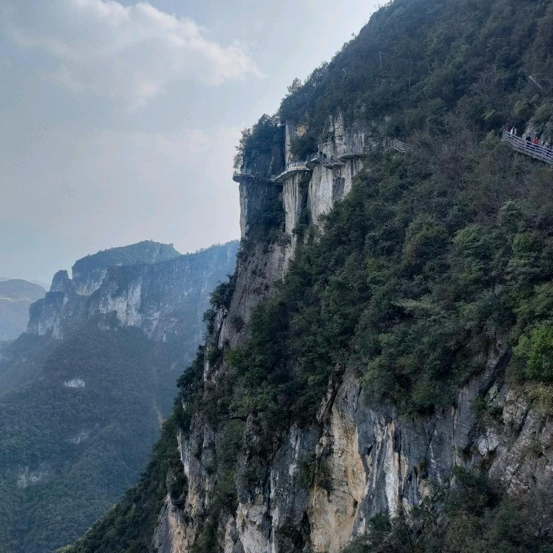 风中诺言