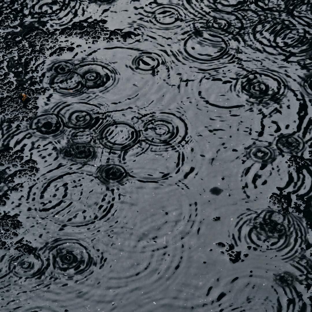 说话的长夏