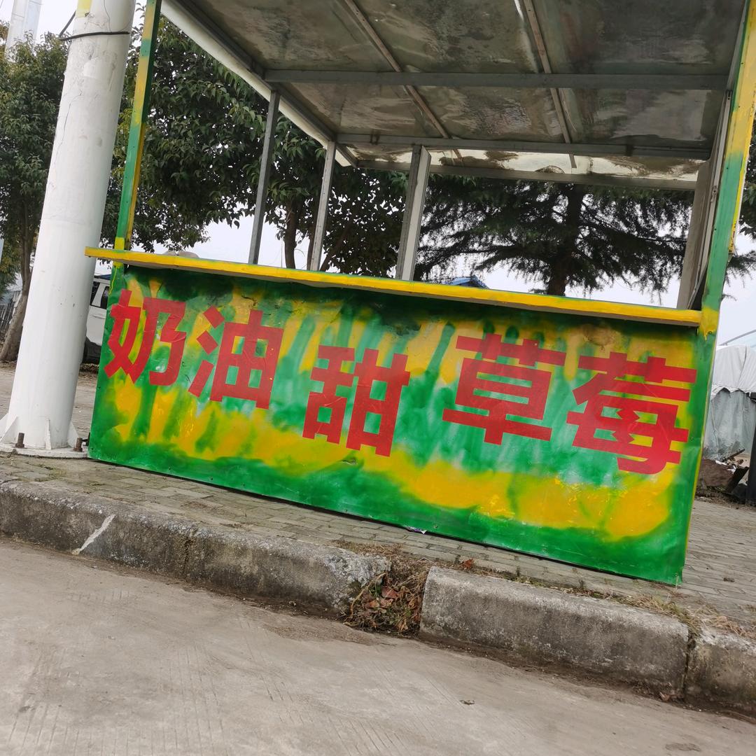 李哥奶油甜草莓🍓（五沟农行北500米