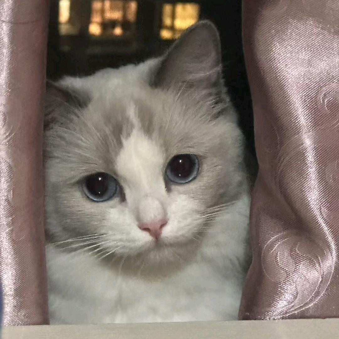 Selene