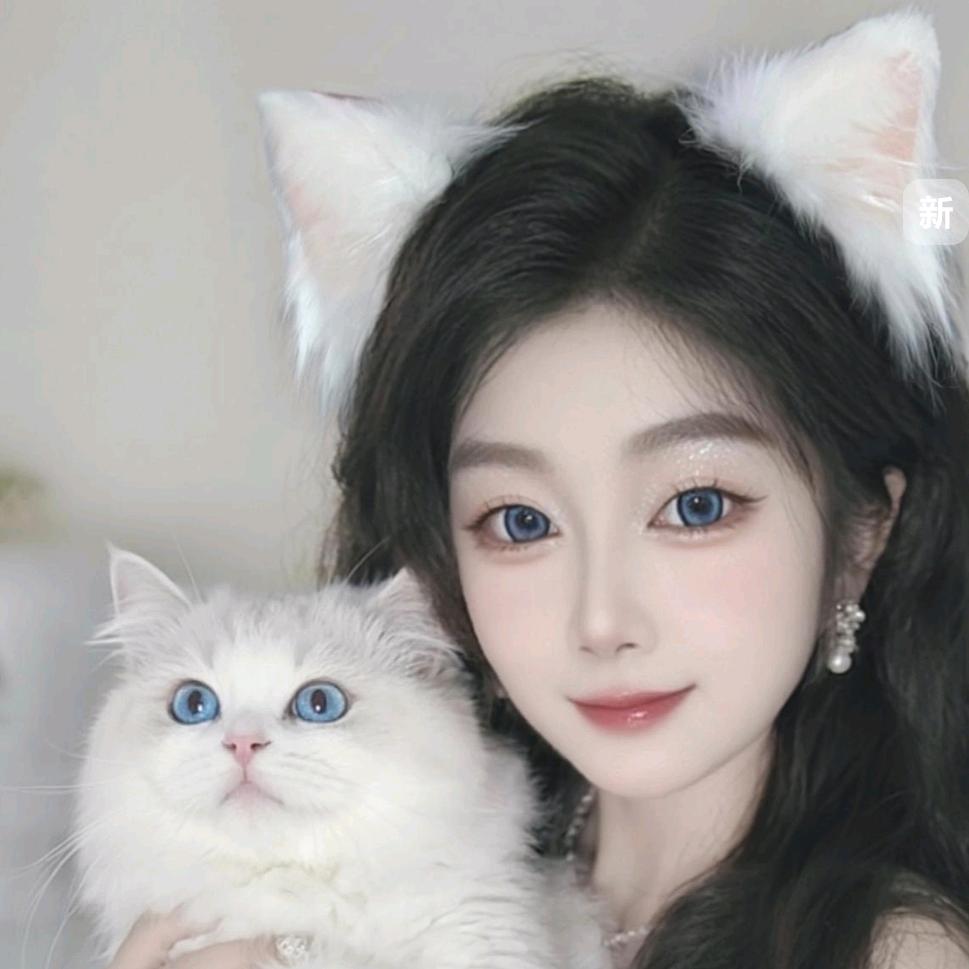 猫在裙角呢喃