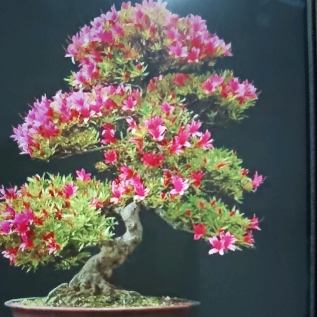 姐静待花开的日常生活