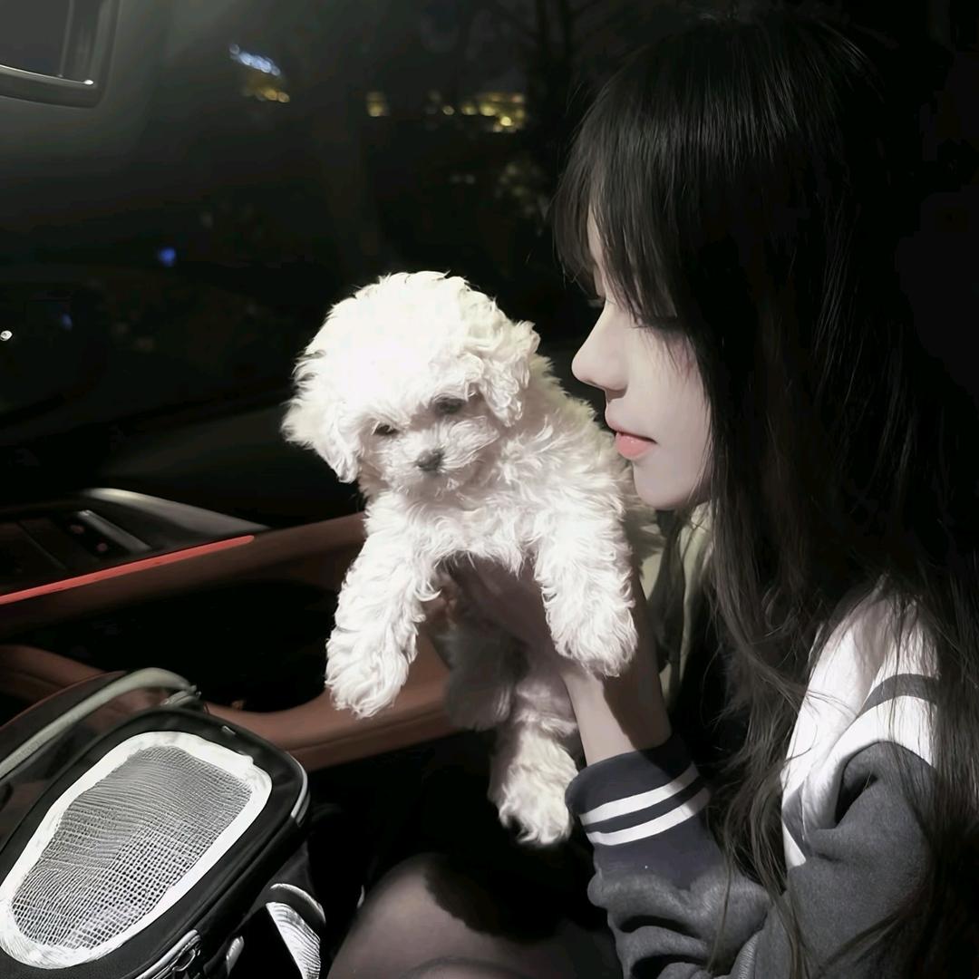 ღ᭄ꦿ꧔ꦿ陌上花开ヾꦿ℘࿐ᩚ