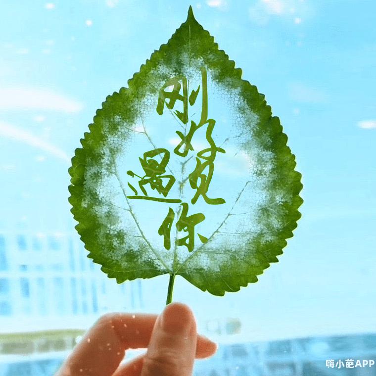 快乐天使