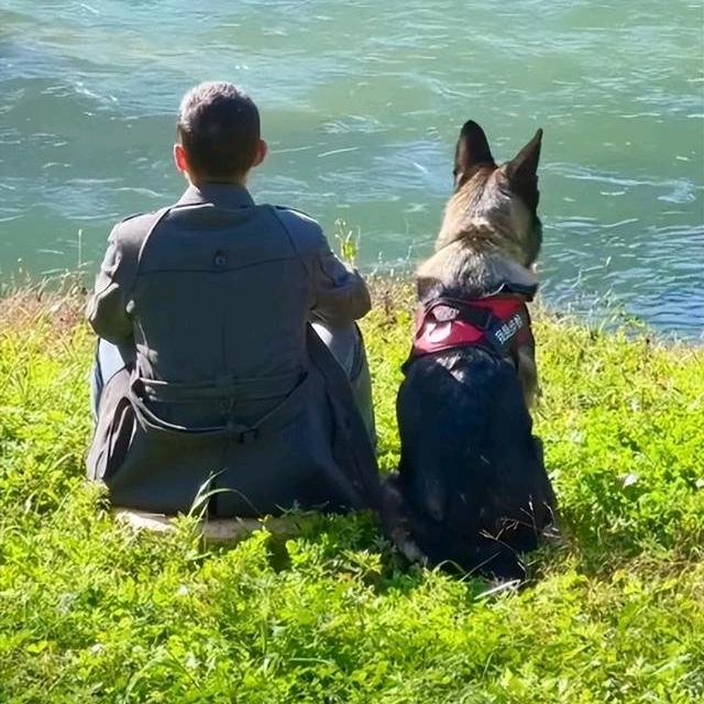 养狗的王先森(明胜犬舍)