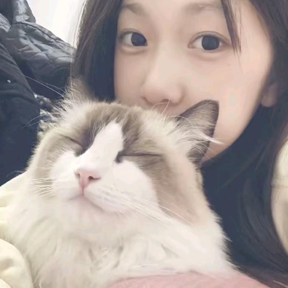 好久说¹次晚安