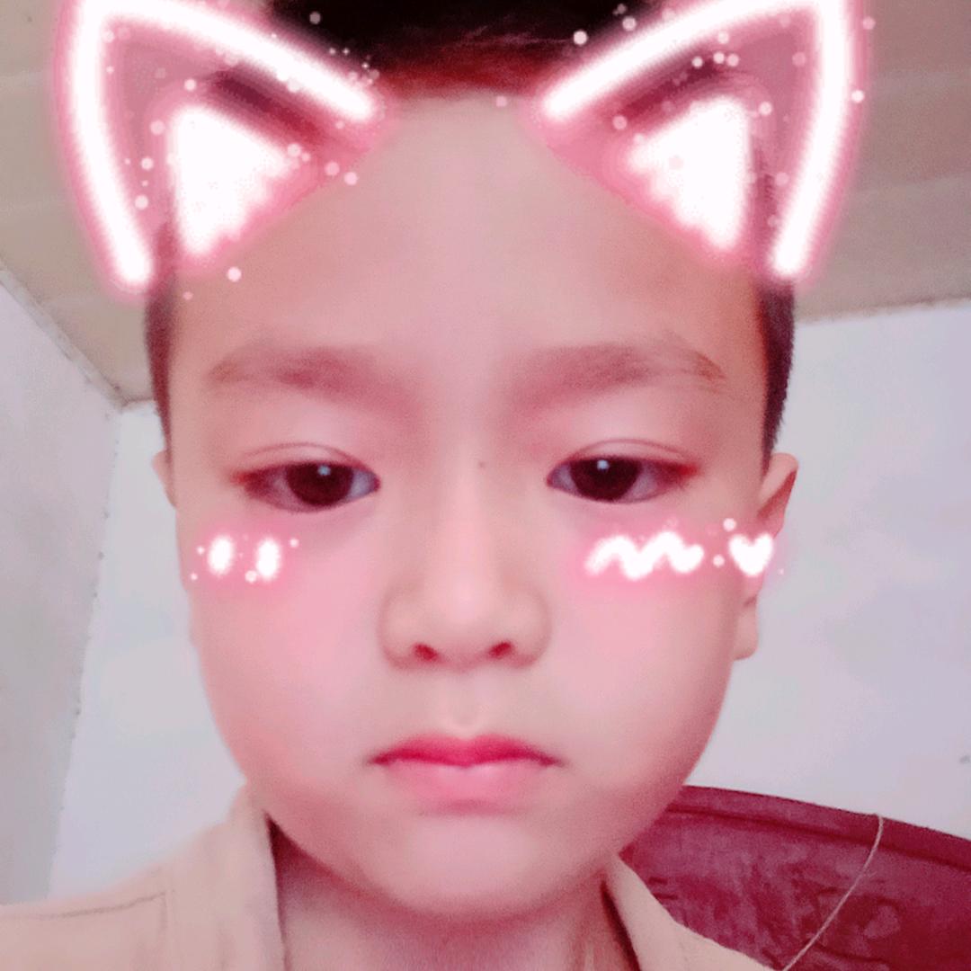 岁岁年年柿柿红